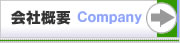ЊTv